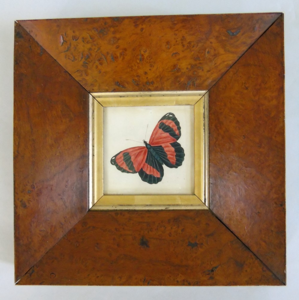 Antique Watercolour Painting Butterfly 19th Century View III