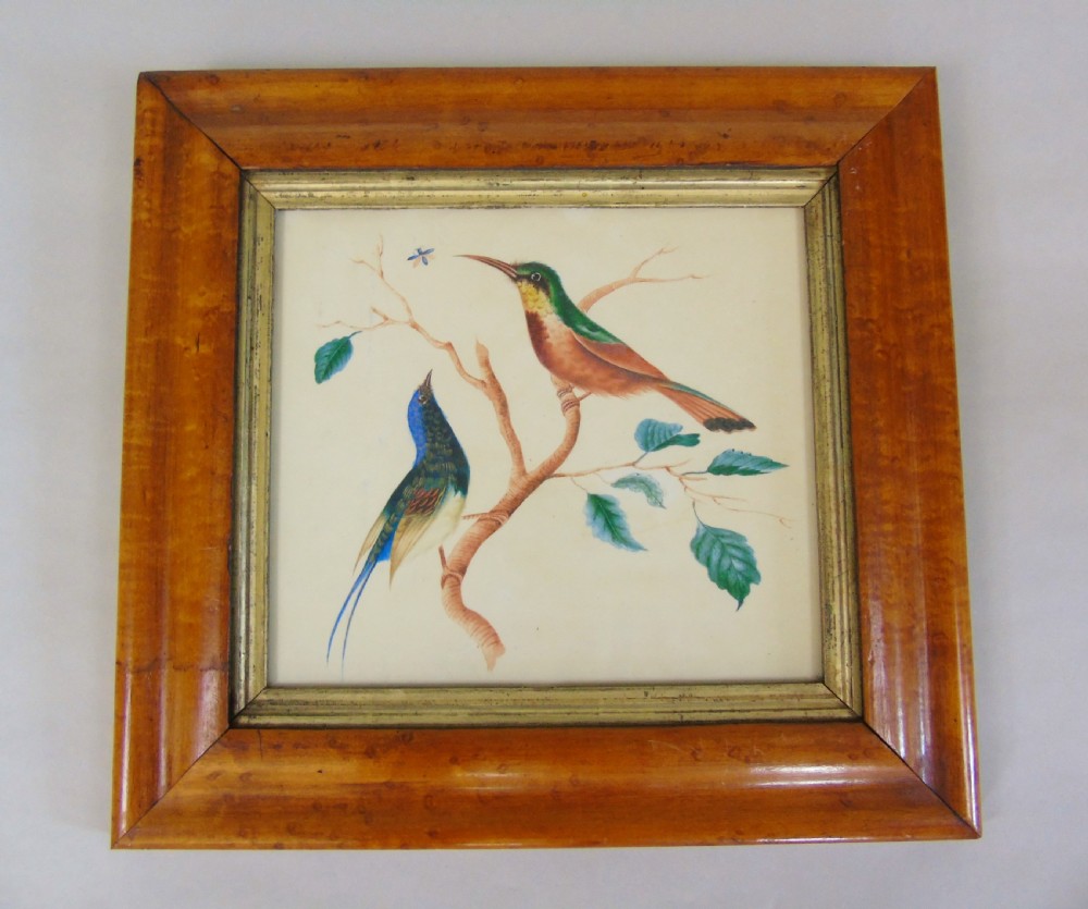 Antique Watercolour Painting Hummingbirds 19th Century