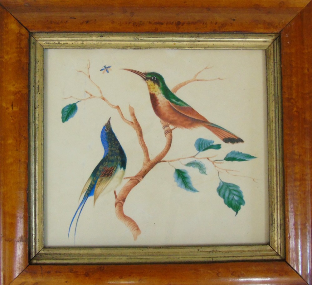 Antique Watercolour Painting Hummingbirds 19th Century View II