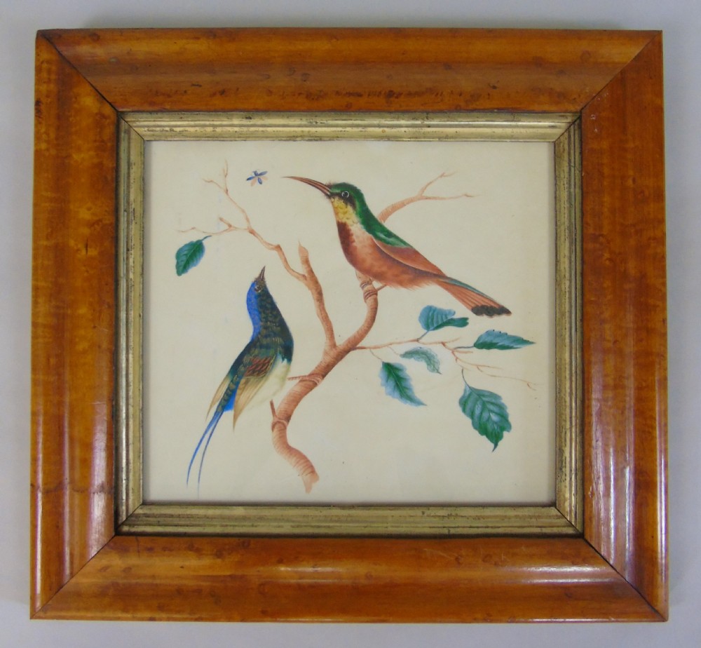 Antique Watercolour Painting Hummingbirds 19th Century View III