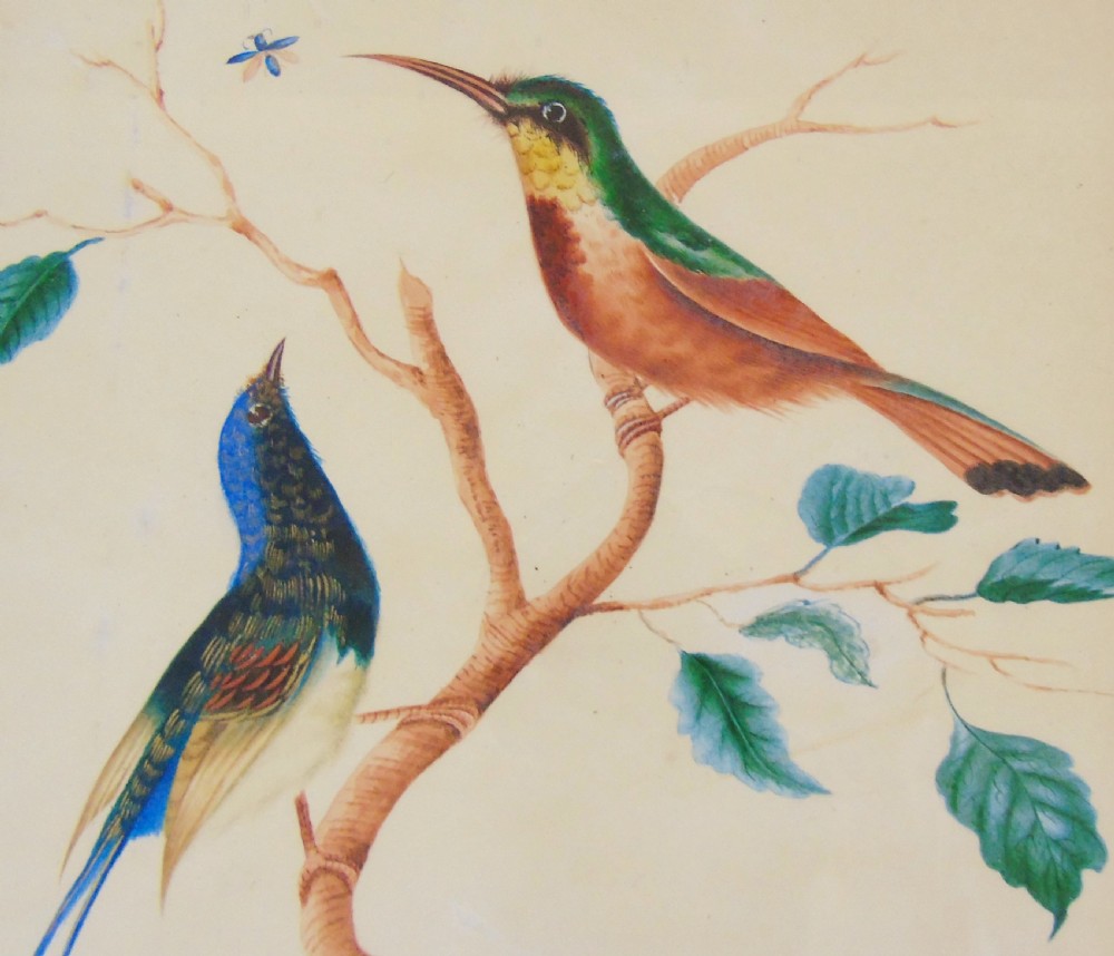 Antique Watercolour Painting Hummingbirds 19th Century View IV