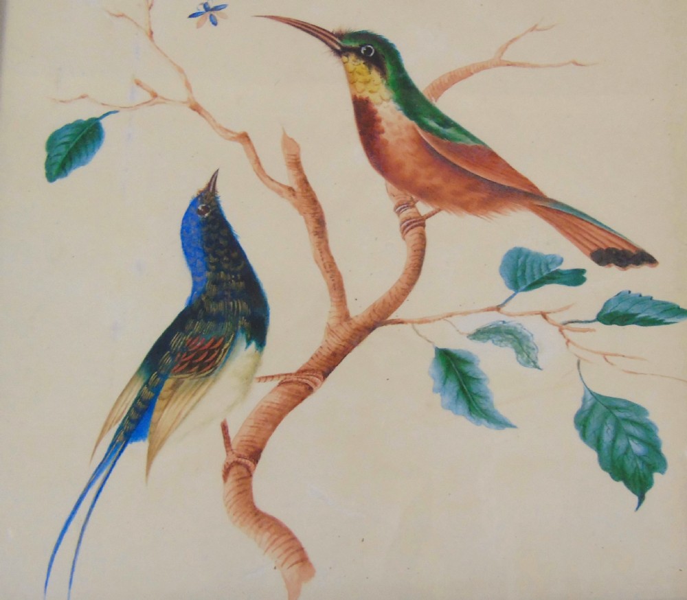Antique Watercolour Painting Hummingbirds 19th Century View VII
