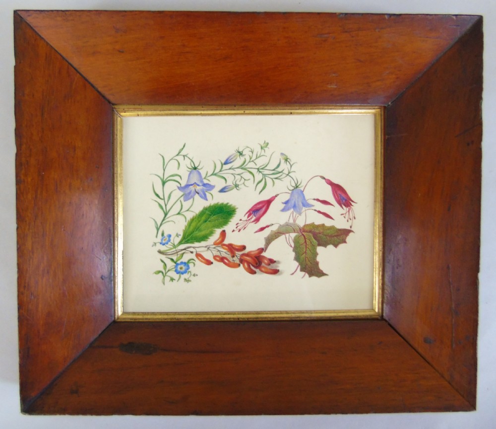 Antique Watercolour Botanical Painting 19th Century