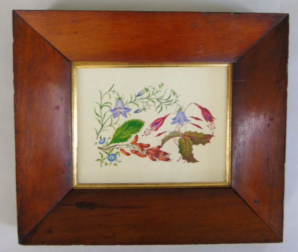 Antique Watercolour Botanical Painting 19th Century View II