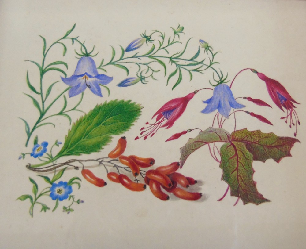 Antique Watercolour Botanical Painting 19th Century View III