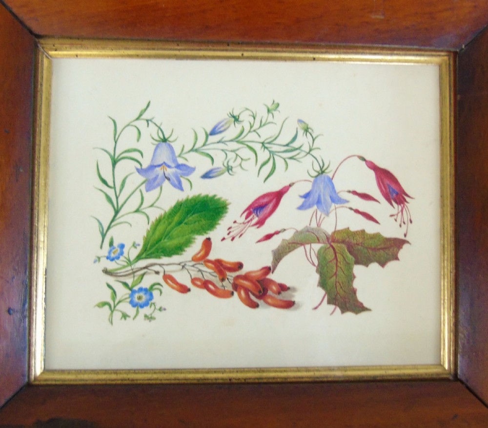 Antique Watercolour Botanical Painting 19th Century View IV