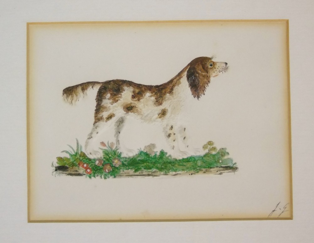 Charming Antique Watercolour of Spaniel Embossed View III