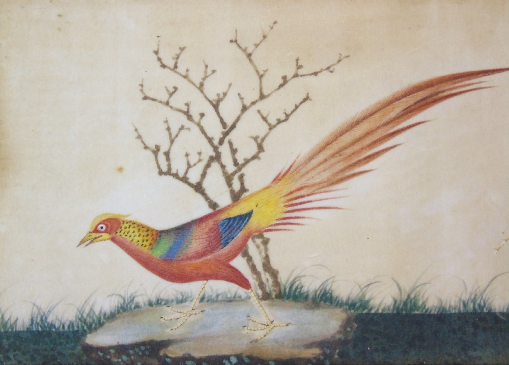 Set of Four Chinese Pith Paintings 19th Century Birds View VI