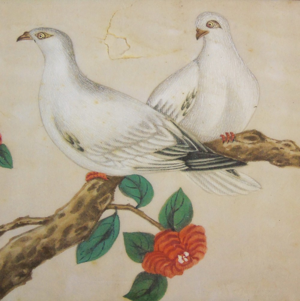 Set of Four Chinese Pith Paintings 19th Century Birds View VIII