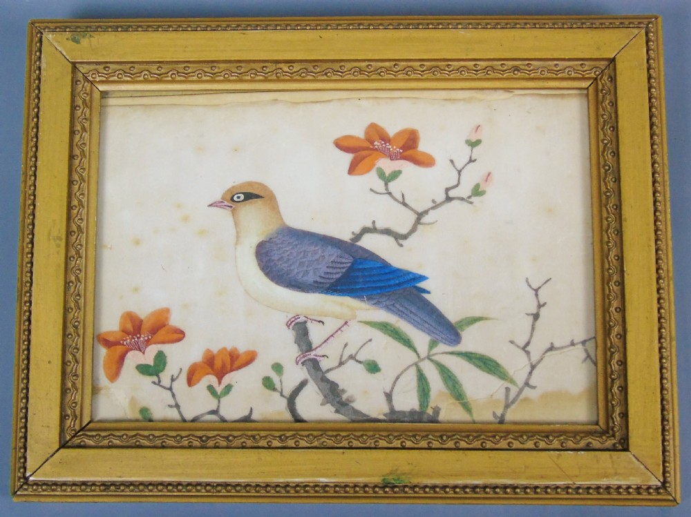 Set of Four Chinese Pith Paintings 19th Century Birds View IX