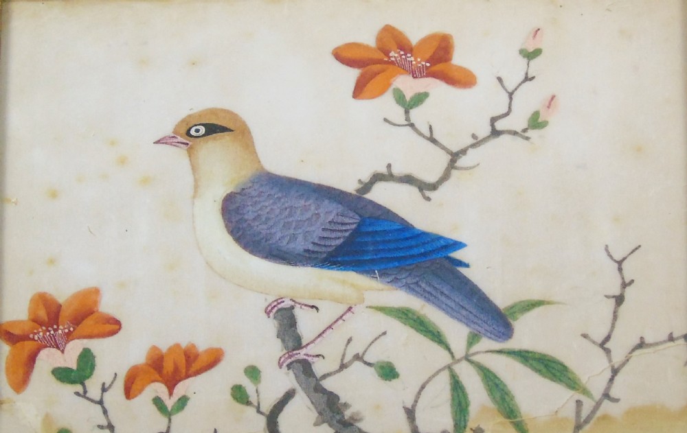 Set of Four Chinese Pith Paintings 19th Century Birds View X