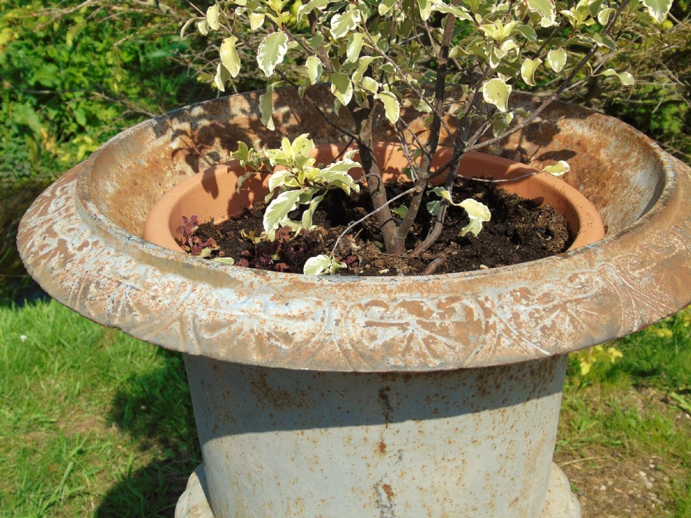 Fine Pair of Large 19th Century Campana Urns on Stands Garden Cast Iron View V