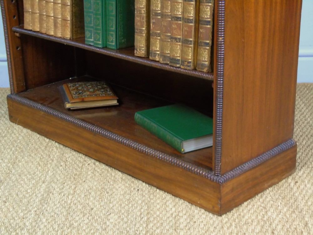 Neat 19th Century Mahogany Bookcase Cabinet View VII