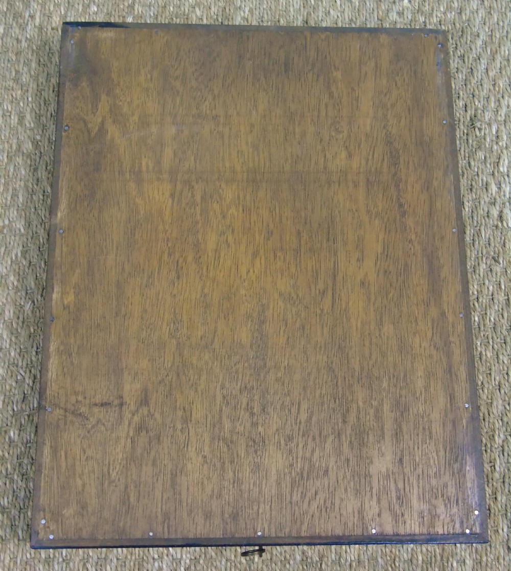 Fabulous Antique Collection Cased Insect and Butterfly Specimens View VIII