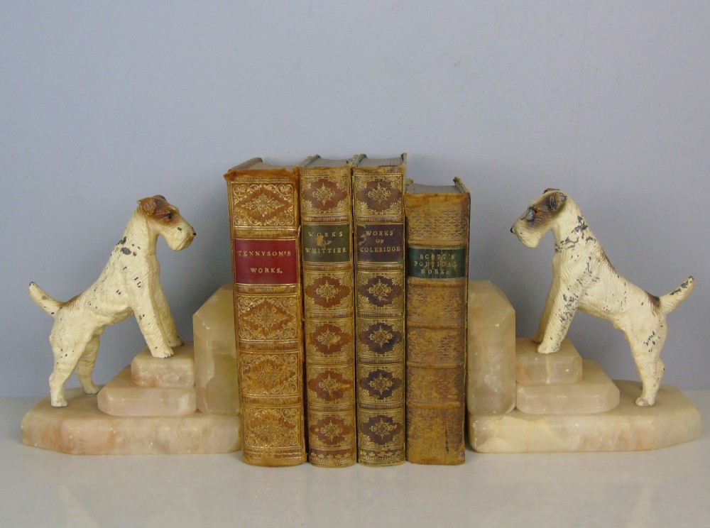 Charming Antique Airedale terrier Bookends View III