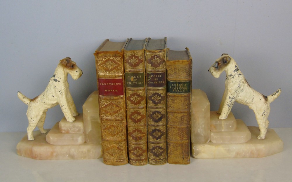 Charming Antique Airedale terrier Bookends View V