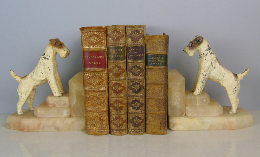 Charming Antique Airedale terrier Bookends View VI