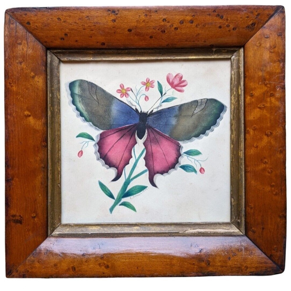 Charming Antique Watercolour Butterfly 19th Century