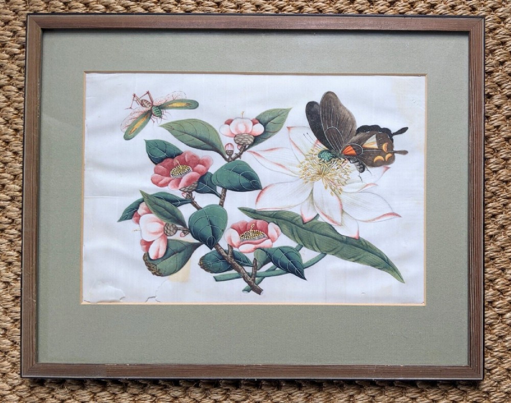 Chinese Botanical Watercolour Pith Painting Qing Dynasty