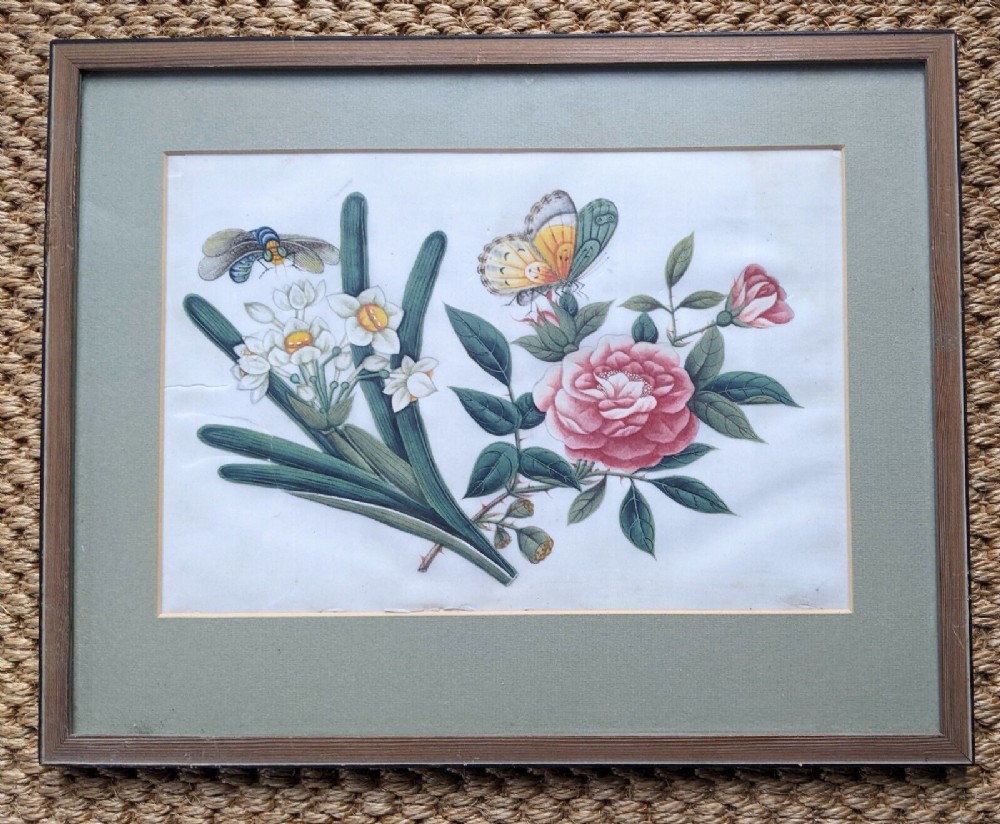 Chinese Botanical Watercolour Pith Painting Qing Dynasty