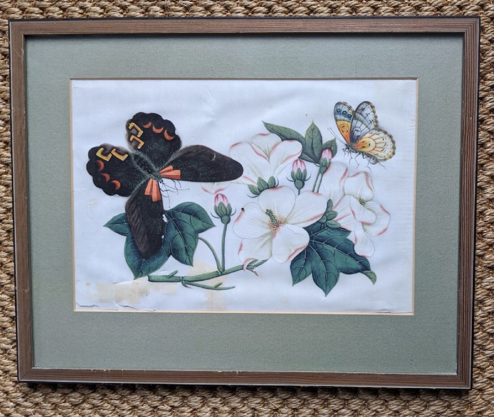 Chinese Botanical Watercolour Pith Painting Qing Dynasty