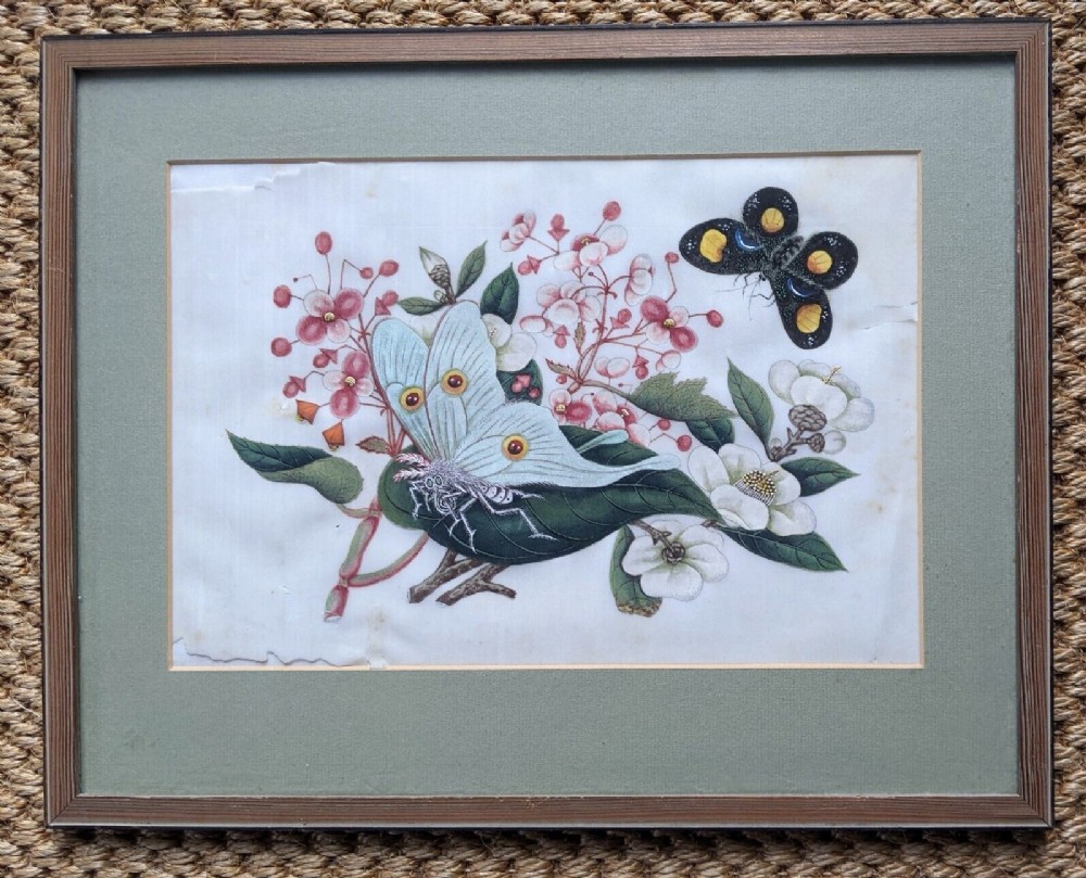 Chinese Botanical Watercolour Pith Painting Qing Dynasty