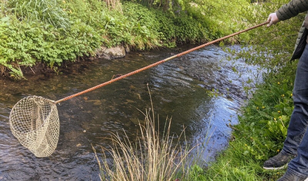 Antique Fishing Landing Net