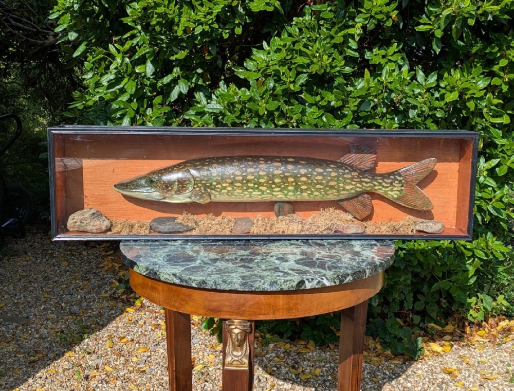 Hand Painted Pike in Glazed Display Case