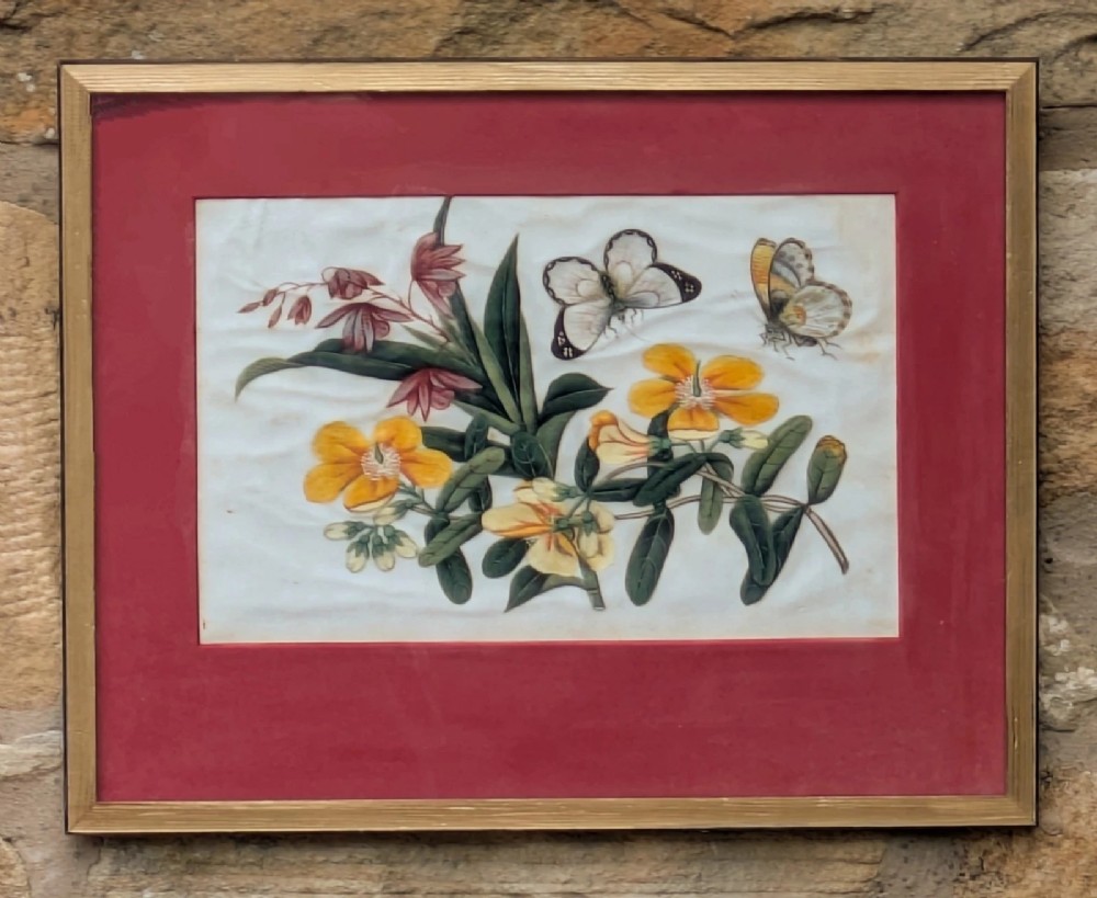 Antique Chinese Watercolour Painting Butterflies & Blossom