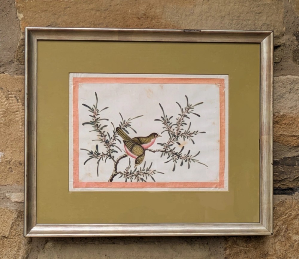 A framed Chinese watercolour painting depicting two birds perched on leafy branches mounted in an olive-green mat and silver frame.