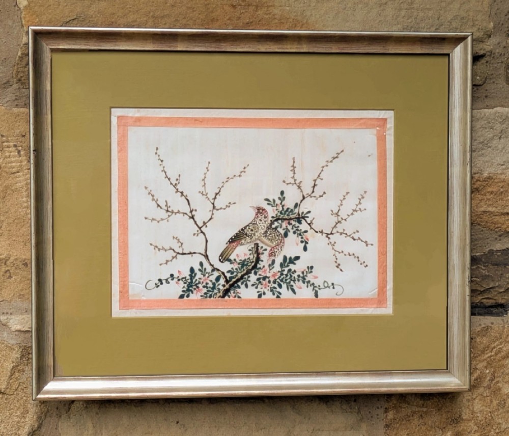 A framed Chinese watercolour painting depicting birds perched on blossoming branches set within a double mount and a silver-toned frame.