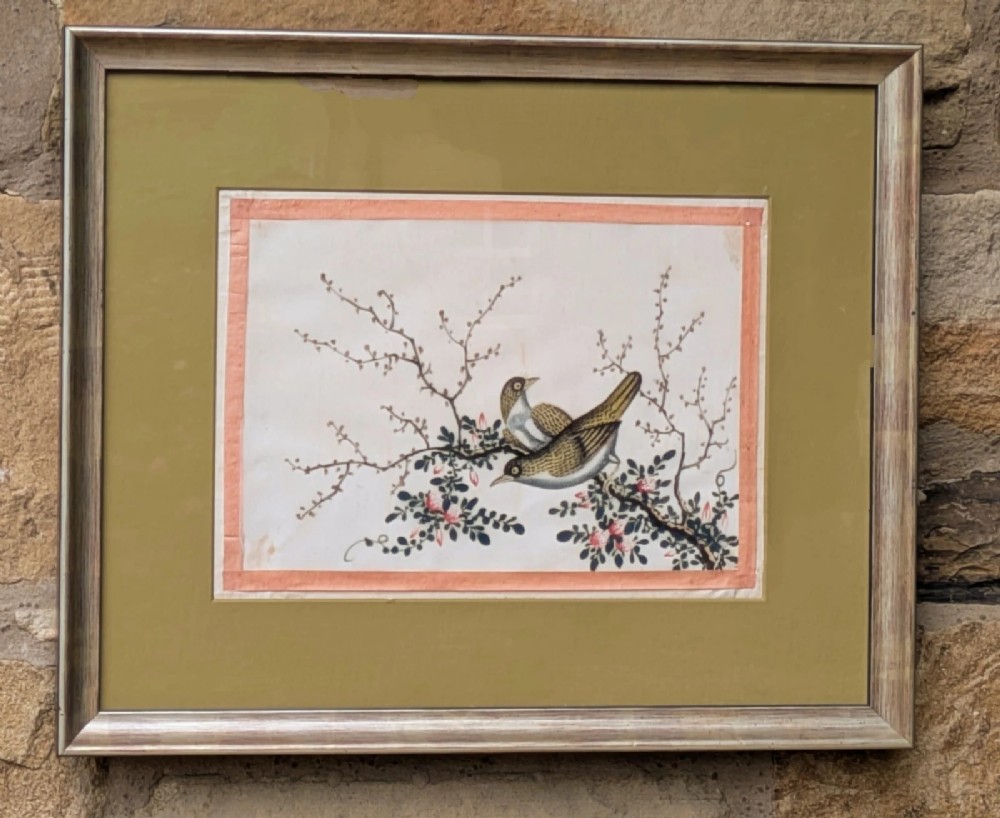 Framed Chinese watercolour painting depicting two birds perched on flowering branches with a silk border and olive green mount.