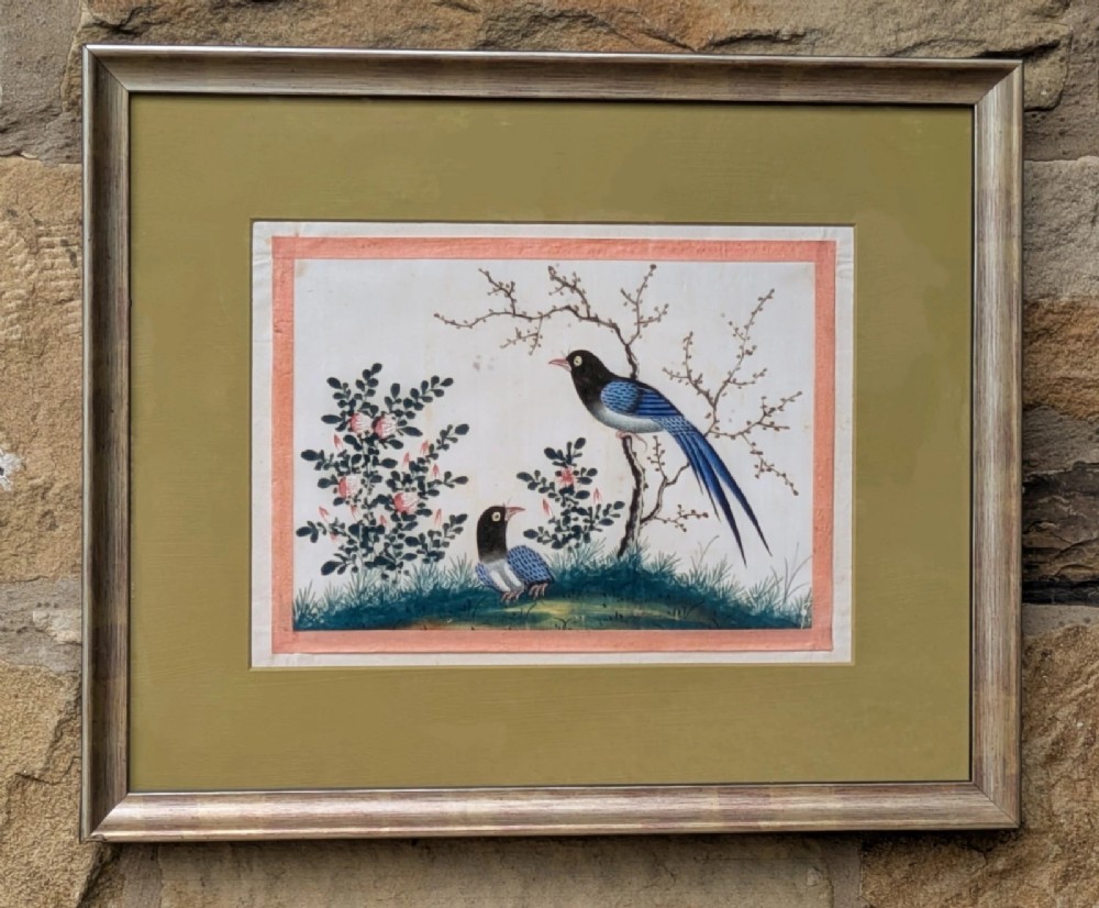 Antique Chinese Watercolour Painting Birds Among Branches