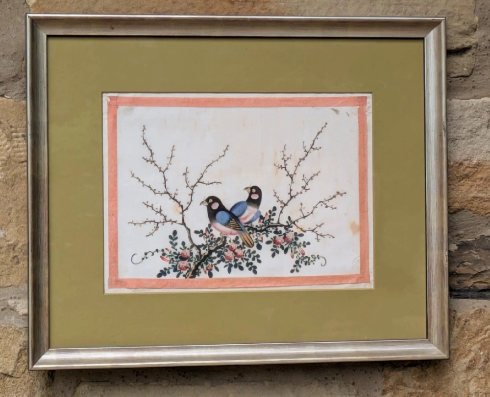 Antique Chinese Watercolour Painting Birds Among Branches
