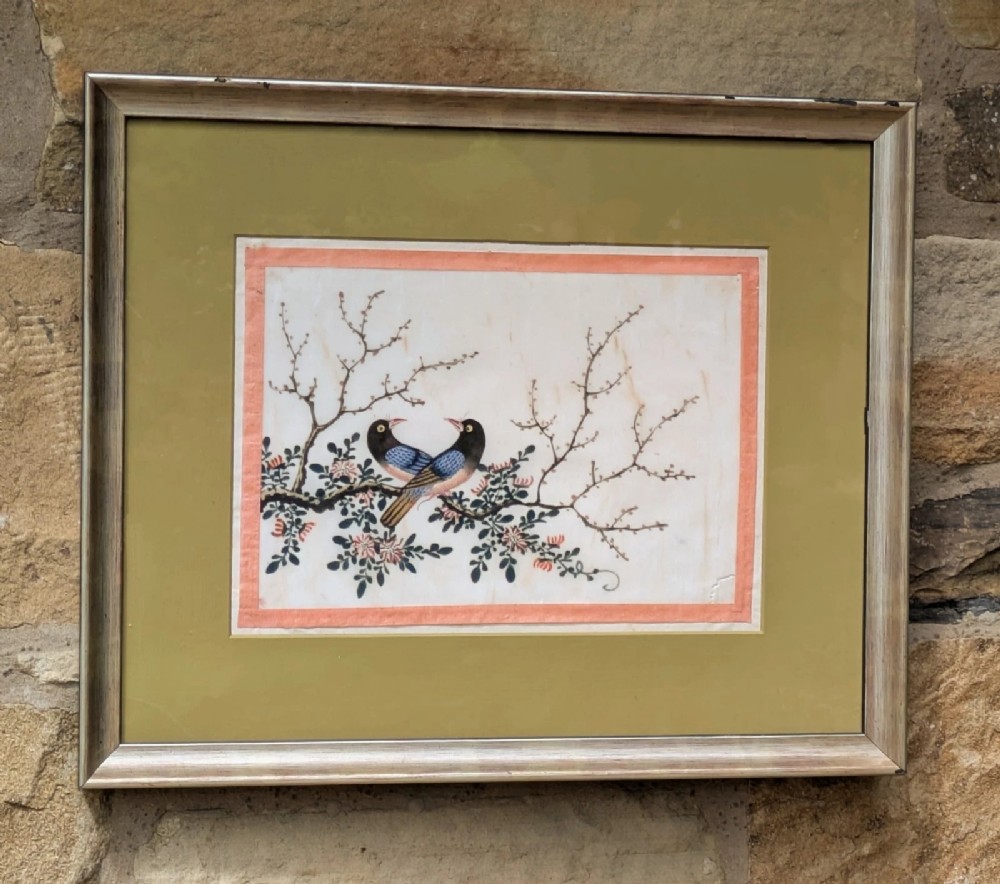 Antique Chinese Watercolour Painting Birds Among Branches