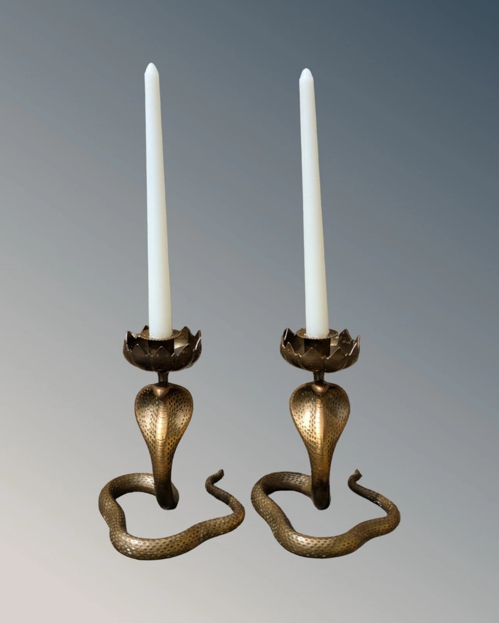 A pair of cast solid bronze candlesticks shaped as coiled cobras with detailed scales supporting lotus-form sconces with white candles.