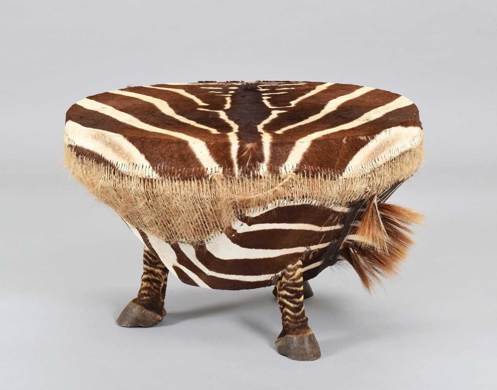 A circular drum table upholstered in striped zebra hide with woven fibre fringe and supported by four zebra hoof legs.
