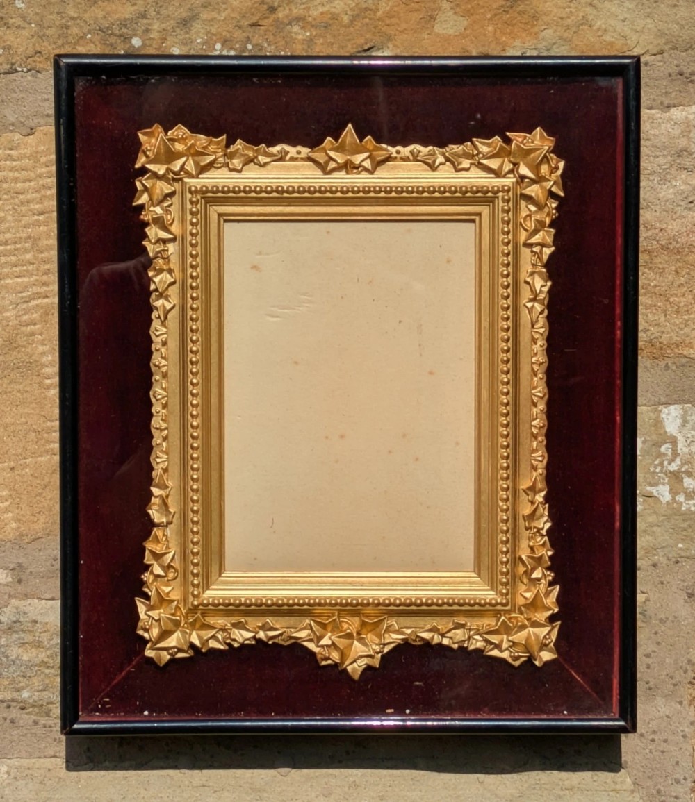 Rare Victorian Ivy Leaf Gilt Frame Glazed Box Velvet Mount