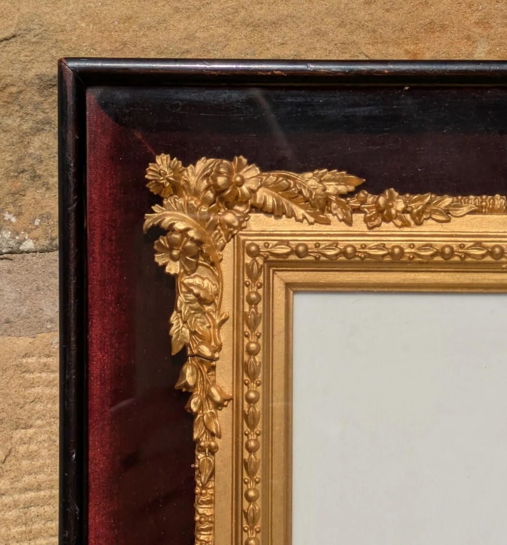 Rare Victorian Gilt Frame Deep Glazed Box Velvet Mount (K) View IV