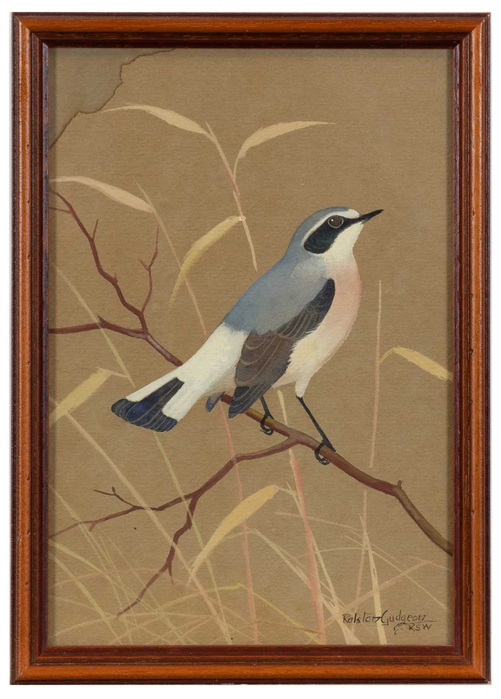 A set of three vertical watercolour paintings on toned paper depicting detailed garden birds perched on delicate branches. View IV