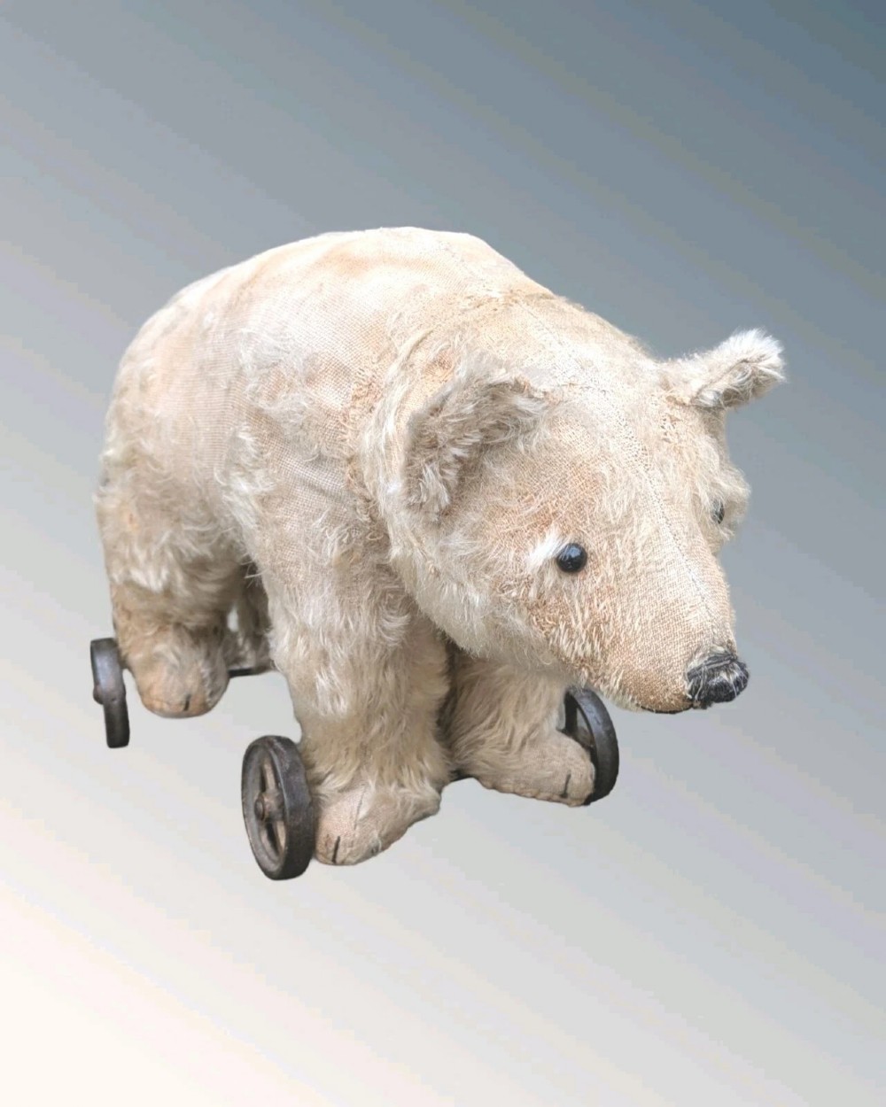 An early twentieth-century off-white mohair Steiff bear standing quadrupedally on four metal wheels.