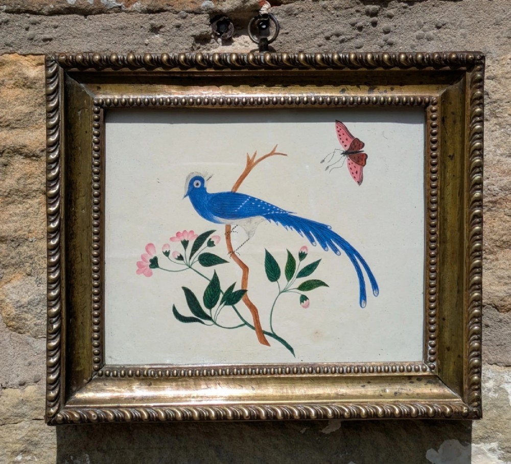 Pretty Regency Watercolour Exotic Blue Bird