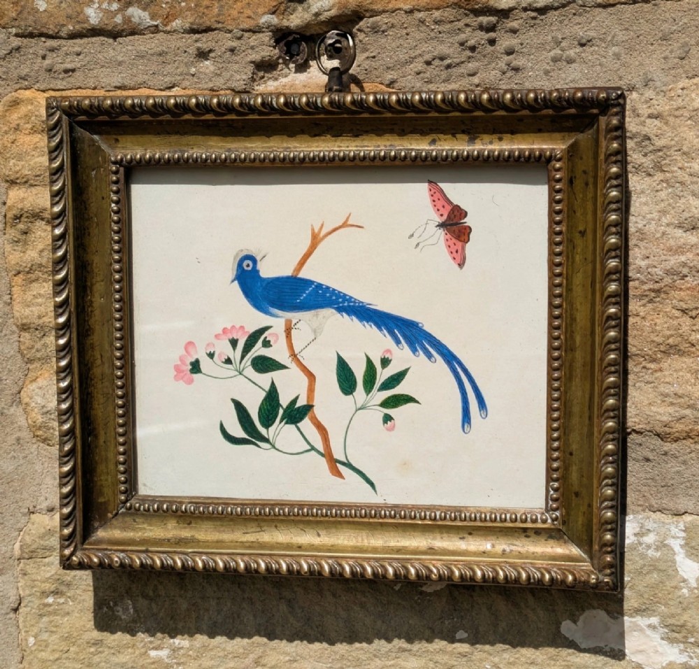 A Regency watercolour illustration depicting a vivid blue bird perched on a branch alongside a pink butterfly, enclosed within an ornate beaded gilt frame. View V