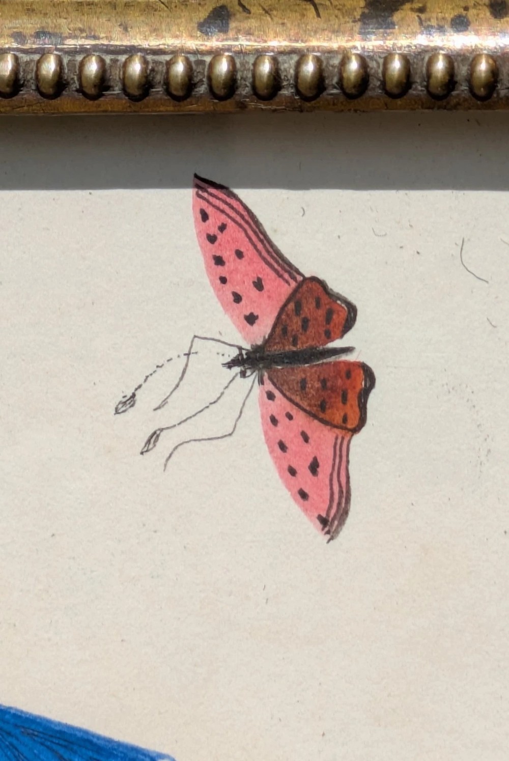 A Regency watercolour illustration depicting a vivid blue bird perched on a branch alongside a pink butterfly, enclosed within an ornate beaded gilt frame. View VI