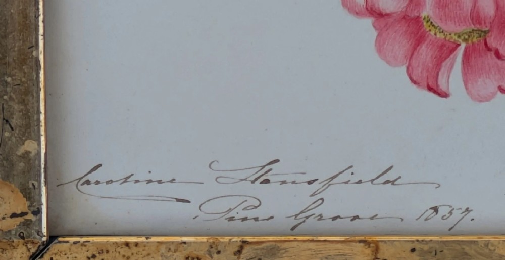 An antique 19th-century watercolour botanical study depicting pink wild roses with green leaves, presented in a gilded wooden frame. View IV