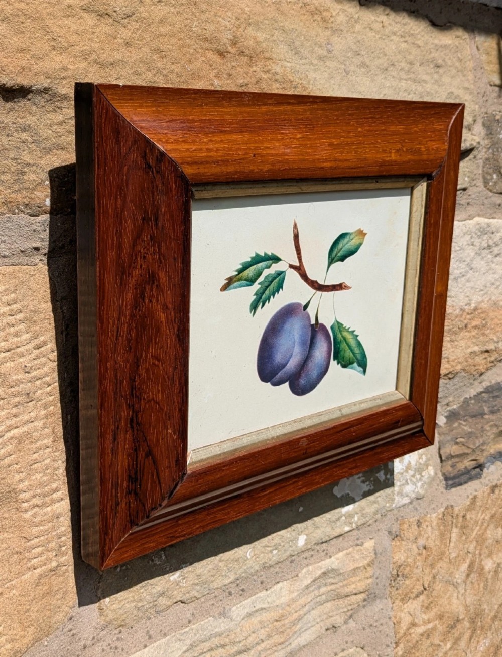 A 19th-century botanical watercolour depicting two purple plums on a leafy twig, housed in a bevelled dark rosewood frame. View II