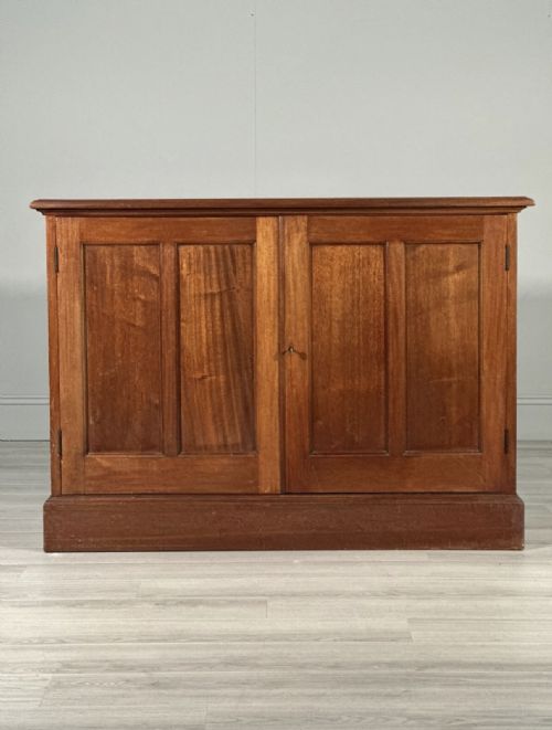 19TH CENTURY MAHOGANY CUPBOARD - ADDITIONAL PHOTO 1