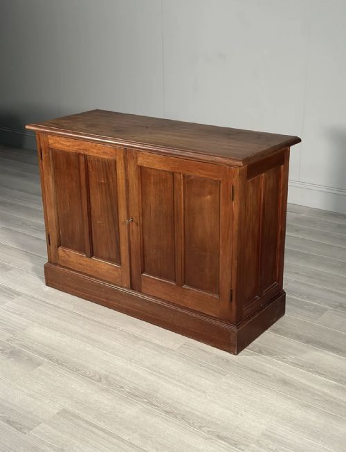19TH CENTURY MAHOGANY CUPBOARD - ADDITIONAL PHOTO 2