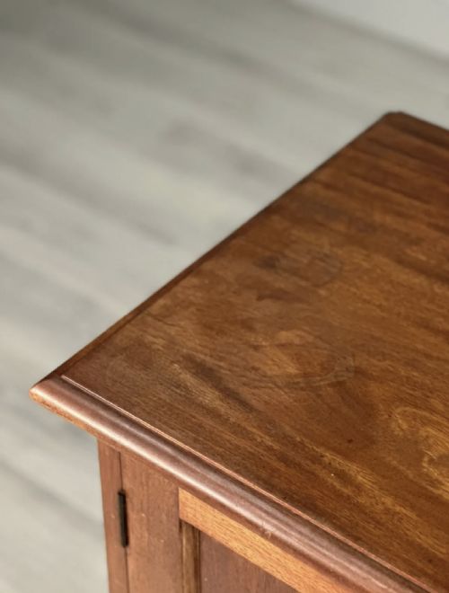 19TH CENTURY MAHOGANY CUPBOARD - ADDITIONAL PHOTO 9