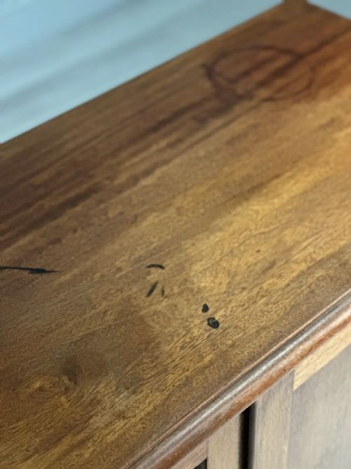 19TH CENTURY MAHOGANY CUPBOARD - ADDITIONAL PHOTO 10